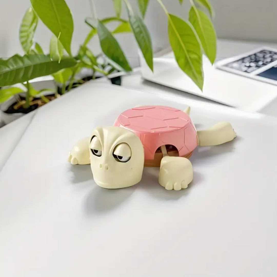 Squishy Turtle Coaster